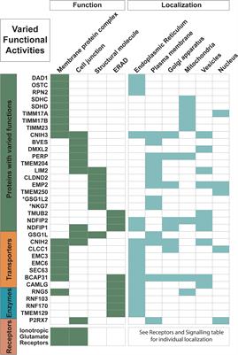 Classification of Trispanins: A Diverse Group of Proteins That Function in Membrane Synthesis and Transport Mechanisms